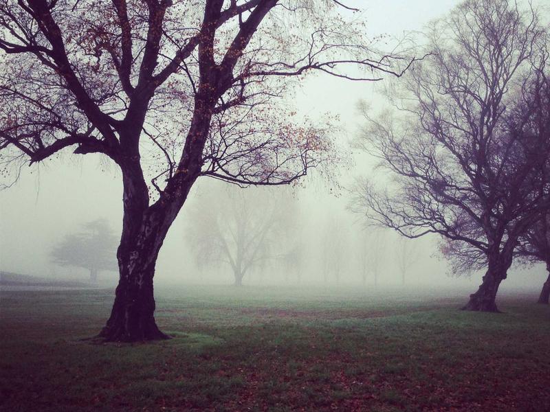 风控哨兵<br>群组风控与反诈骗巡逻